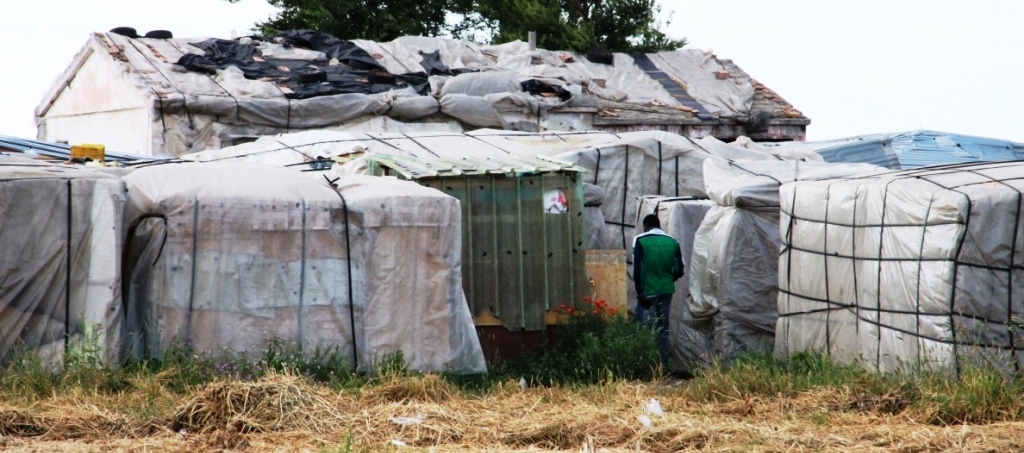 Terraingiusta: braccianti pagati dal 30 al 40% in meno rispetto ai tetti minimi