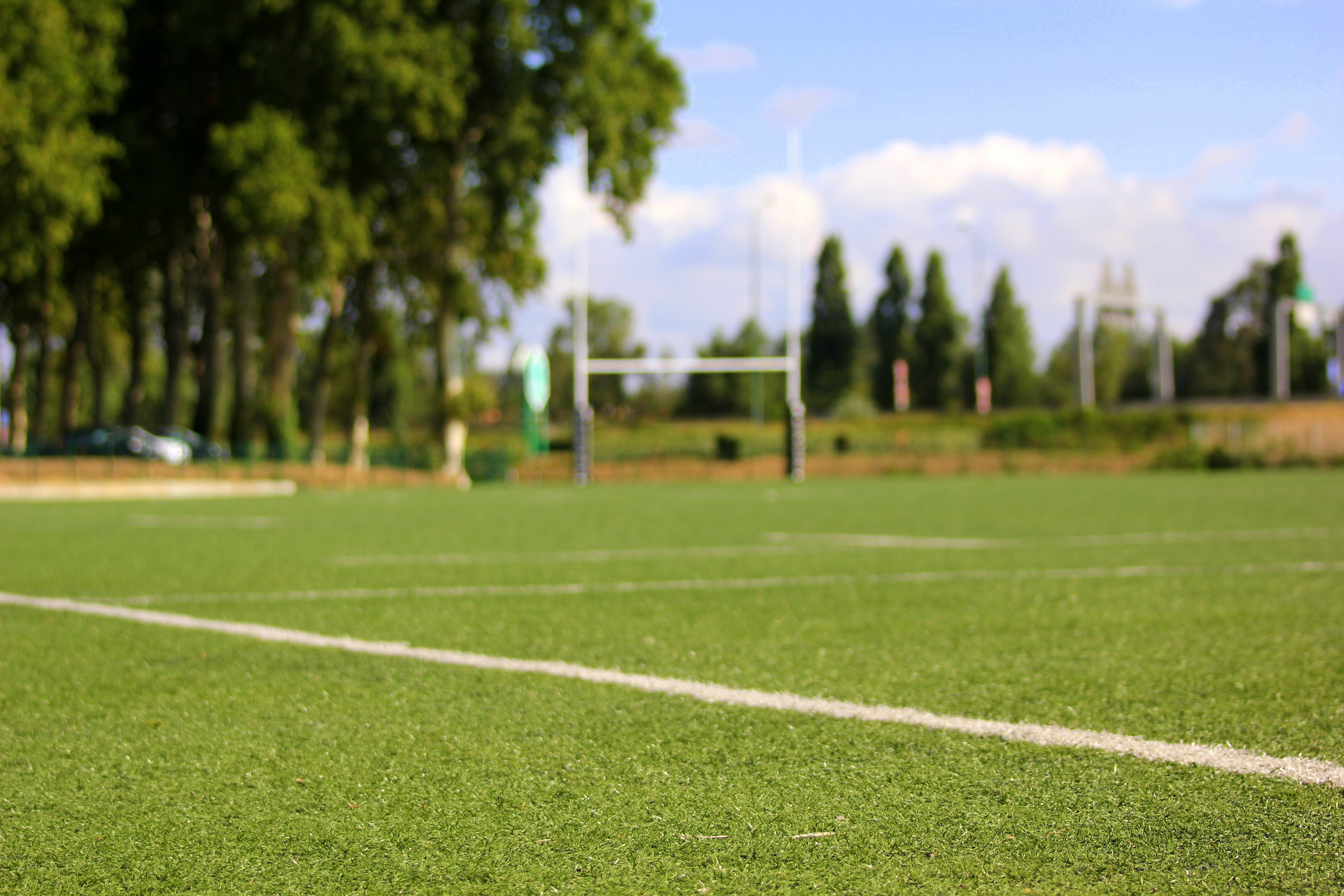 In campo per i diritti umani