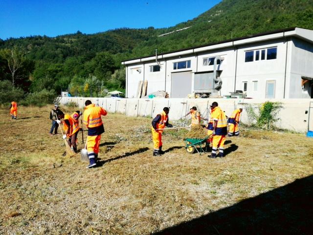 Aiuto dei rifugiati nell'area terremotata. Gus: 