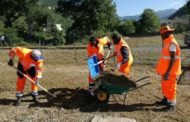Impatto fiscale dell'immigrazione, dati a confronto