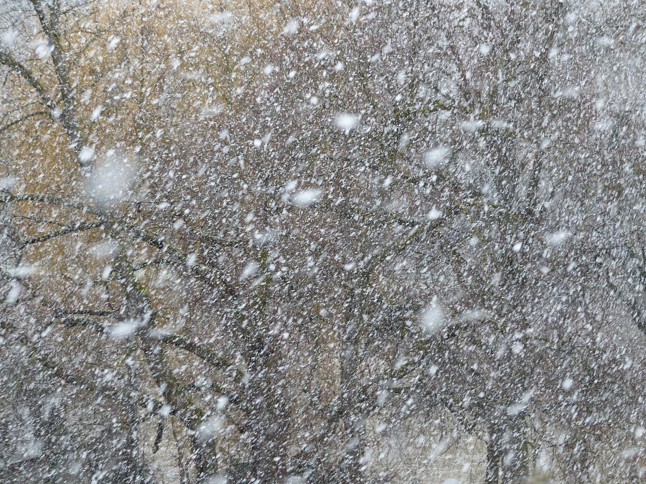 Rifugiati: in migliaia in Grecia e nei Balcani, esposti al gelo