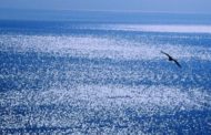 Amnesty International: Fra il diavolo e il mare profondo. L’Europa abbandona rifugiati e migranti nel mar Mediterraneo centrale