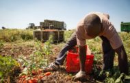 Rimettere al centro i lavoratori e le lavoratrici