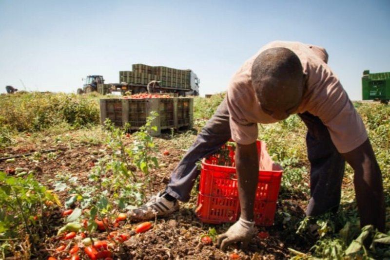 Immigrati, il lavoro per integrare