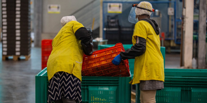 Immigrati in Italia: produttori di ricchezza, eppure sempre più poveri