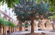 Diritti e linguaggio inclusivo: se ne parla all'Università di Pavia